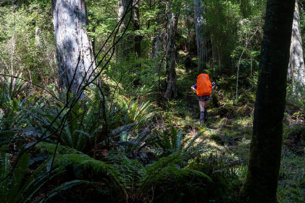 On the last climbing section towards Bungaree Hut.