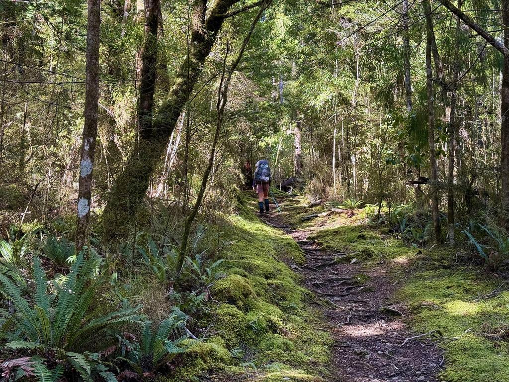 More fast-moving track just before Browning Hut.