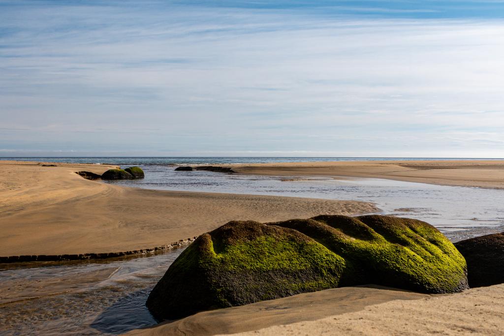 The golden sands and beautiful swimming water of Smoky Beach