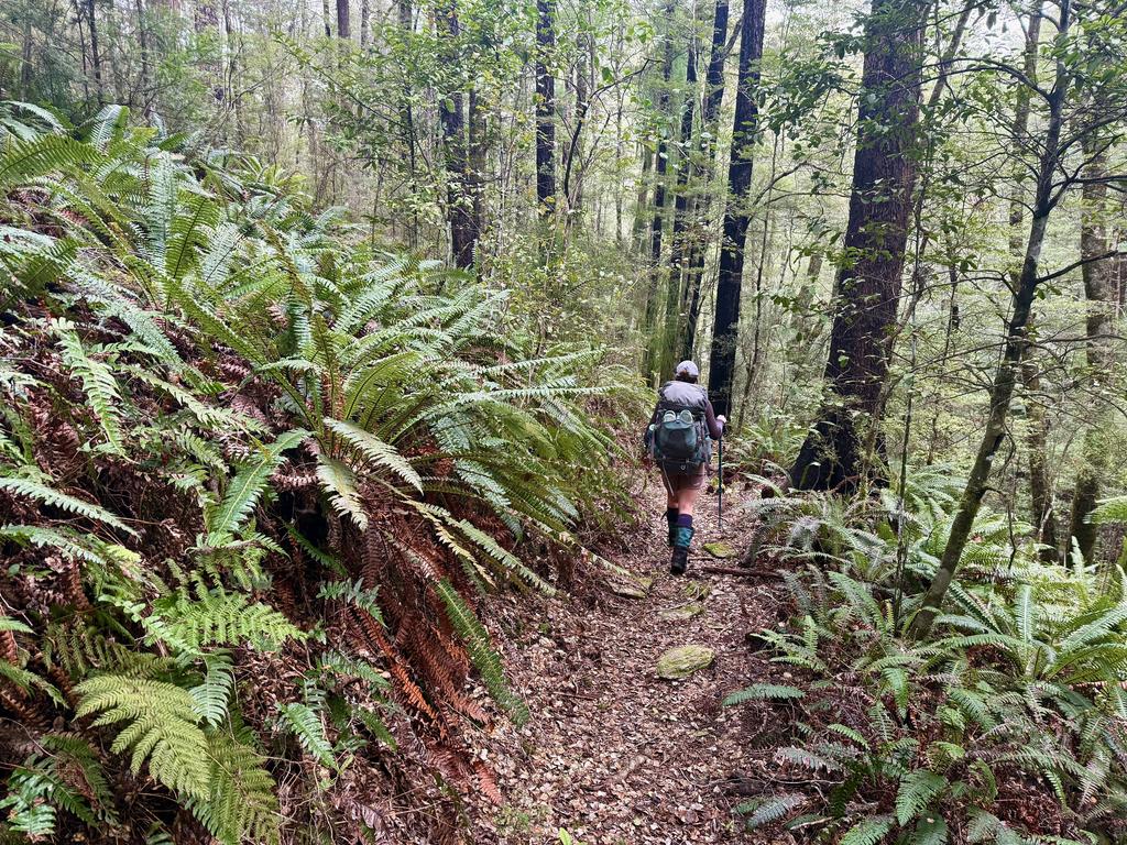 Almost back at Top Valley Stream and the car.