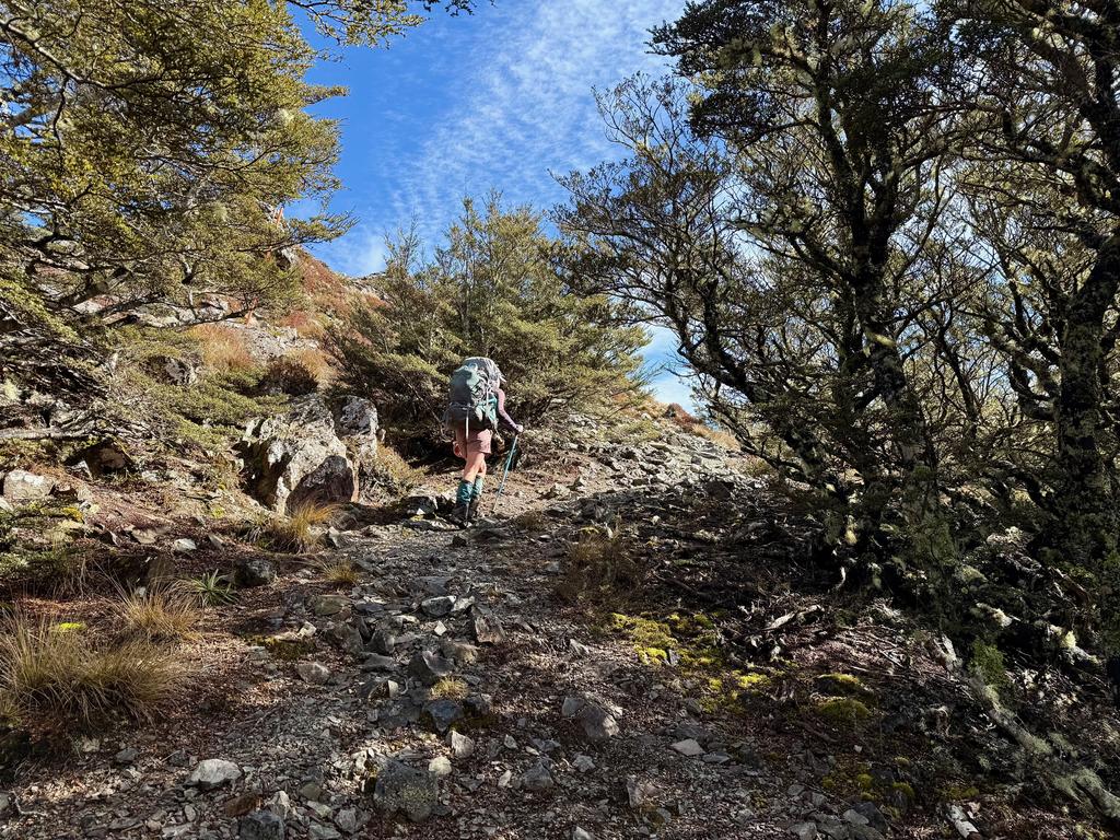 One of a few short climbs today.