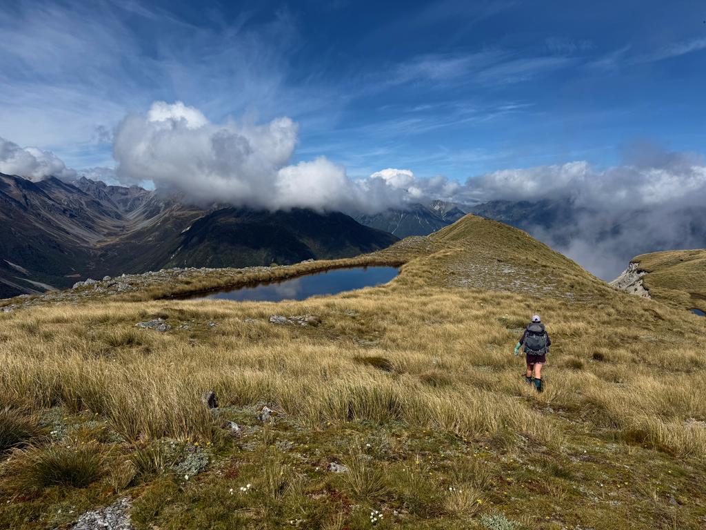 Jen trucking along the Kelly Range with Hunts Creek on the left in  the distance. The hut is located in the tussocked clearing just above the foreground ridge.