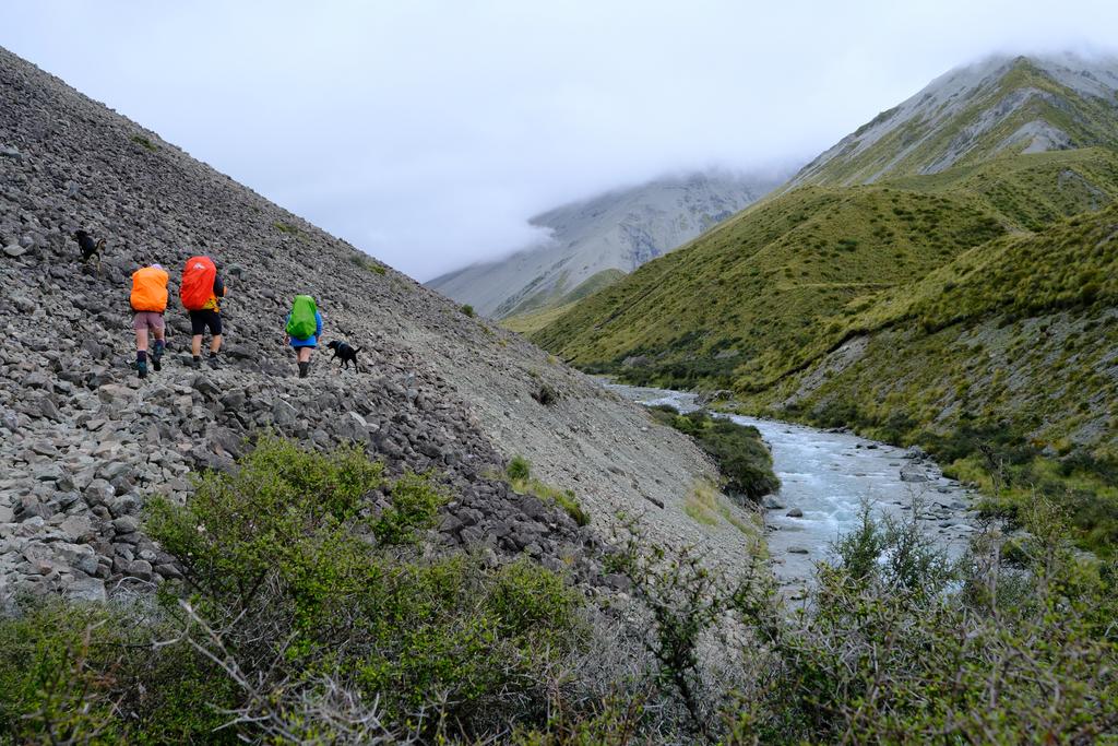 Following a nice banked track above Cameron River.