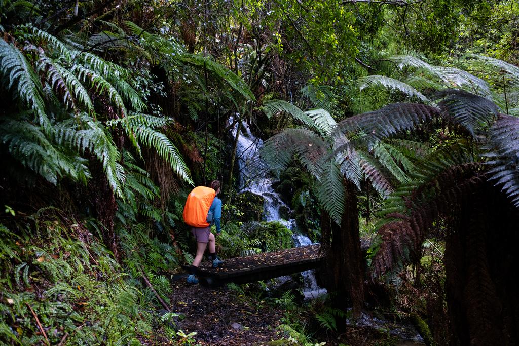 One of the many small waterfalls along the track.