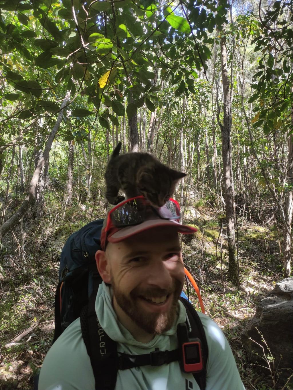 Feral kitten! Tried to carry it out, but couldn't. Knew we should have killed it, but couldn't.