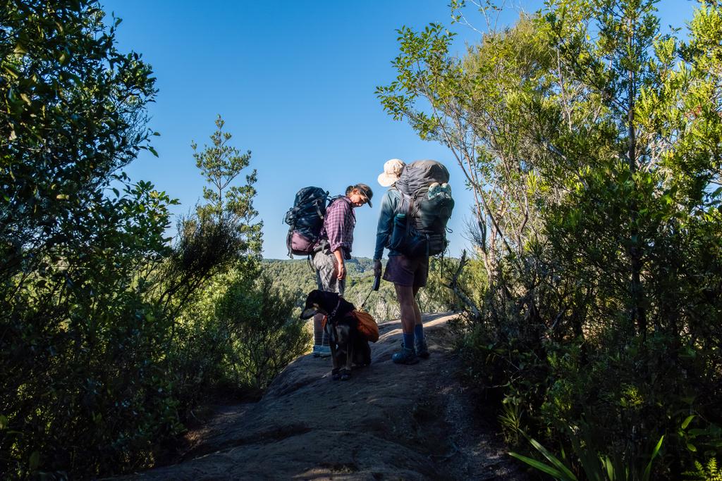 5 May, 2026 at 2:29pm
Checking out the view (Korra wasn't interested).
📷 Finn Le Sueur
FUJIFILM X-S20
18-300mm F/3.5-6.3 DiIII-A VC VXD B061X
640
<span>%!s(float64=7.1) ISO<s/span> <span>f/19</span> <span>%!d(string=1/1600)mm</span> <span>%!s(MISSING)s</span>