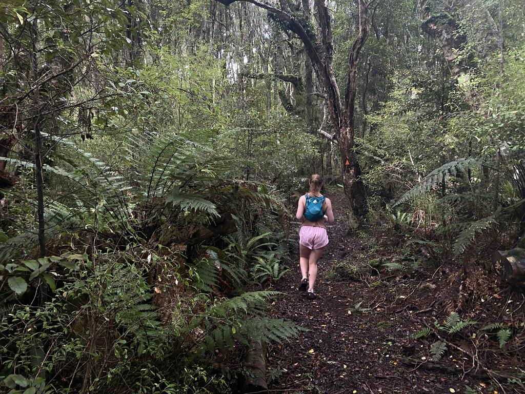 Muddy but well-formed.