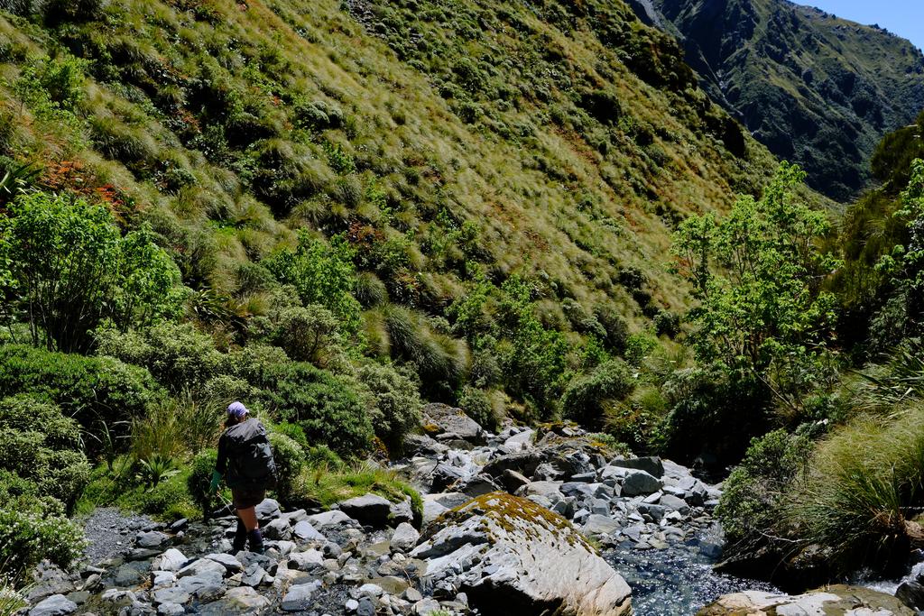 Making our way down Dunns Creek.