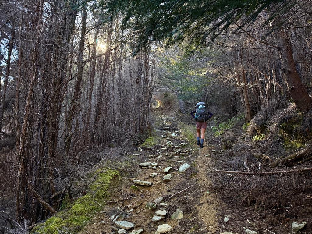 Steeeep but pretty in the morning sun.