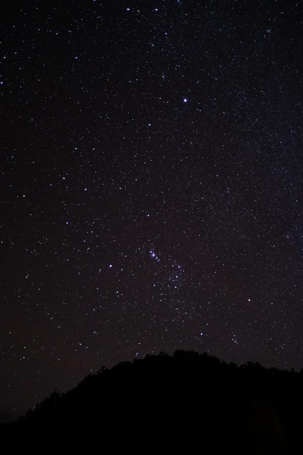 Some stars above Upper Te Hoe Hut