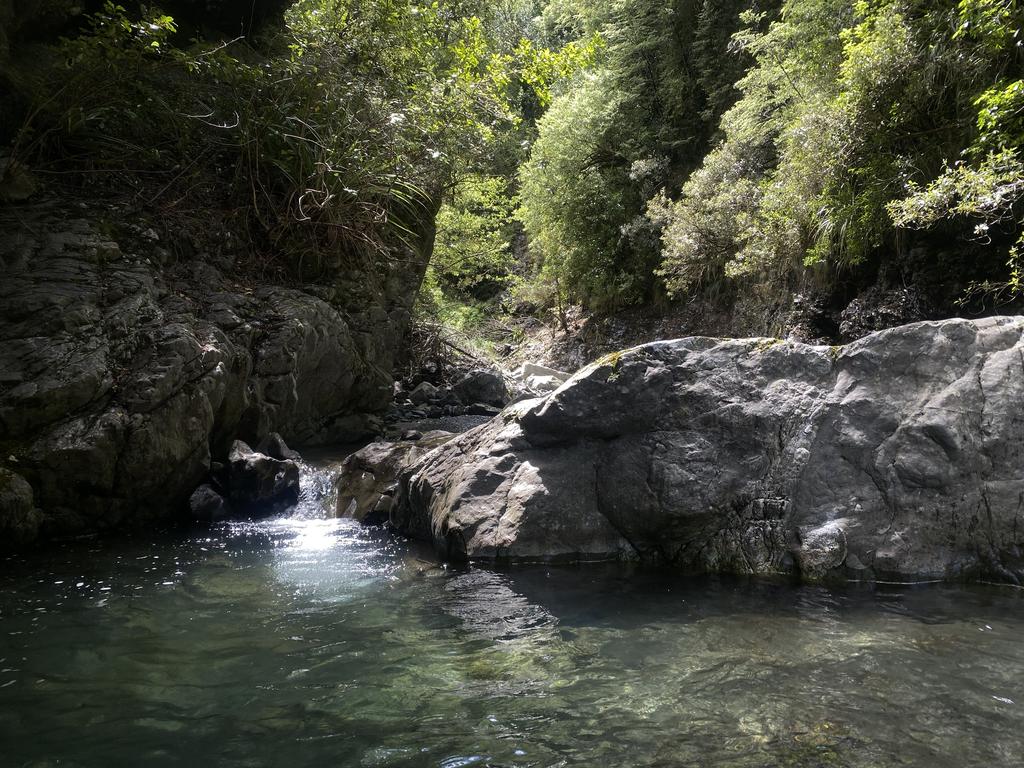 A very beautiful little pool that Korra had to jump into! No other way through. So proud.