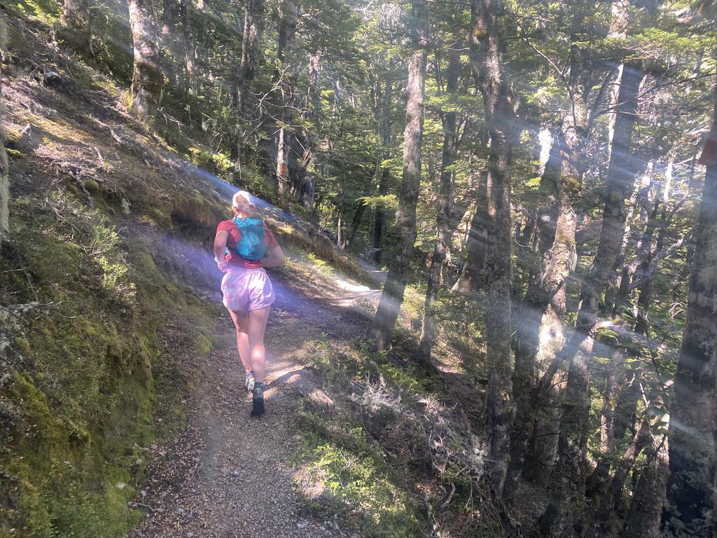 Climbing through the forest on the way to Lagoon Saddle.