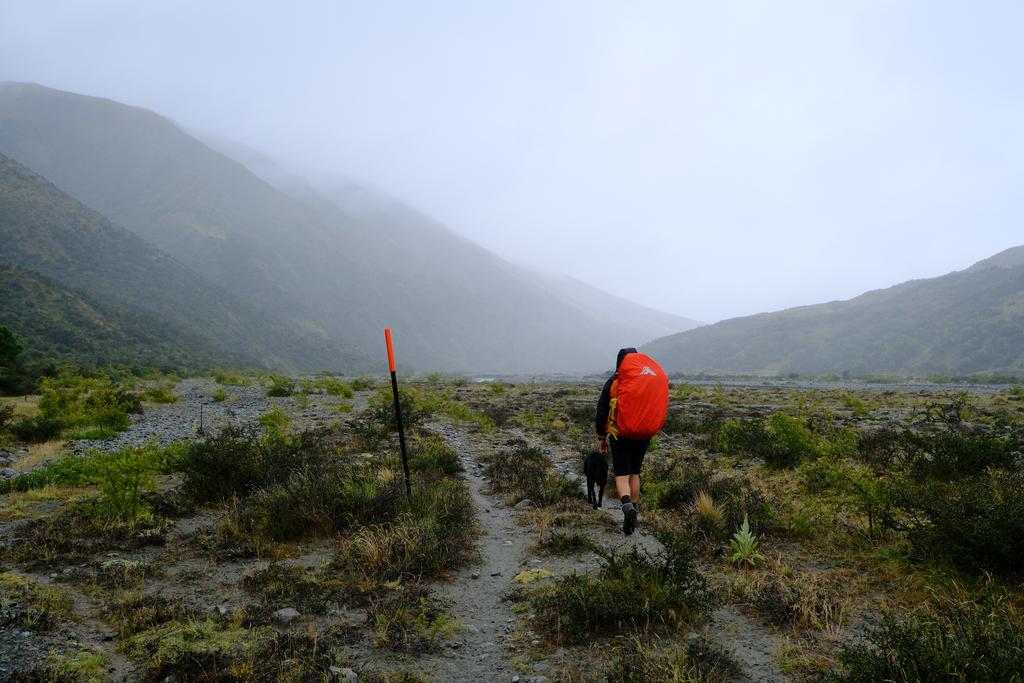 Tim and Ted trudging into the mist.