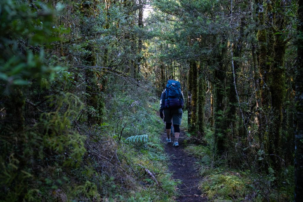 5 May, 2026 at 10:46am
A dark section of forest.
📷 Finn Le Sueur
FUJIFILM X-S20
18-300mm F/3.5-6.3 DiIII-A VC VXD B061X
6400
<span>%!s(float64=5) ISO<s/span> <span>f/32</span> <span>%!d(string=1/200)mm</span> <span>%!s(MISSING)s</span>