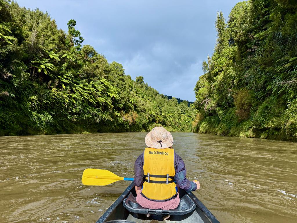 Stunning bush and nice fast moving water.