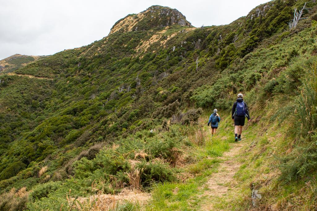 The very green southern face of Mt Bradley.
📷 Finn Le Sueur

Canon Canon EOS 70D
EF24-70mm f/2.8L USM
400
<span>%!s(float64=8) ISO<s/span> <span>f/24</span> <span>%!d(string=1/800)mm</span> <span>%!s(MISSING)s</span>