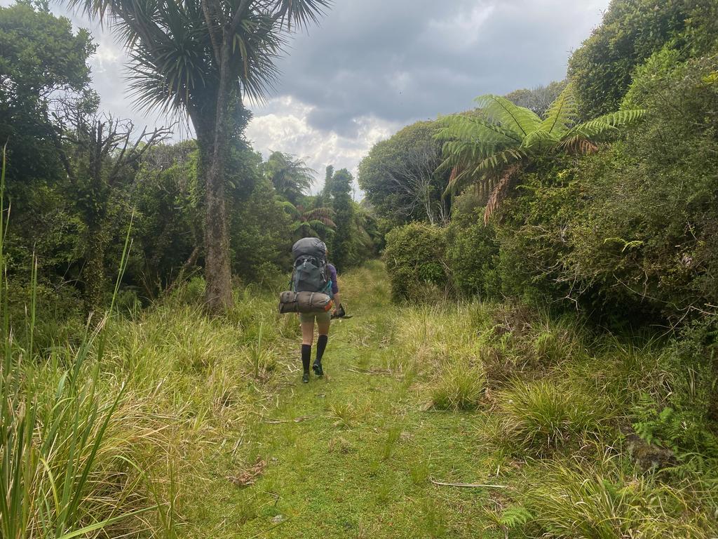 The 4WD track on the way to Three Mile Beach.