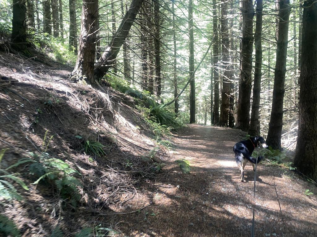 Korra noticing some cows mooing in the distance.