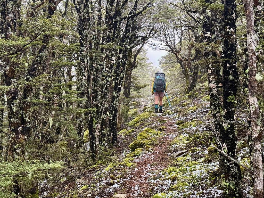 A light dusting of snow really made the aesthetic.