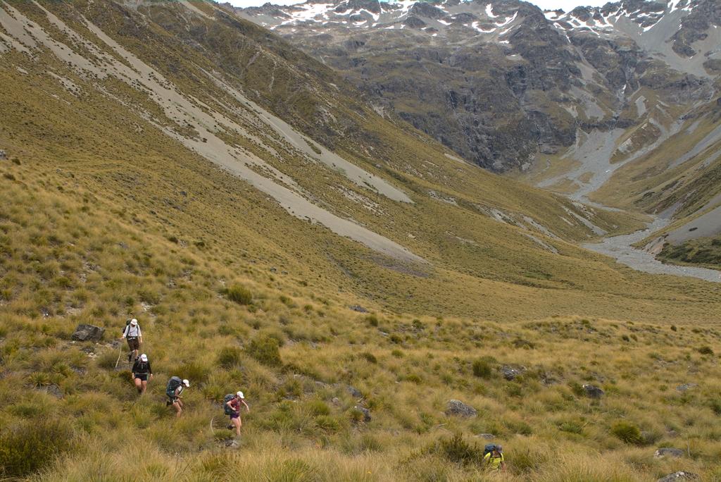 Dodging spaniards on the way to Maitland Hut - looking forward to the forest.