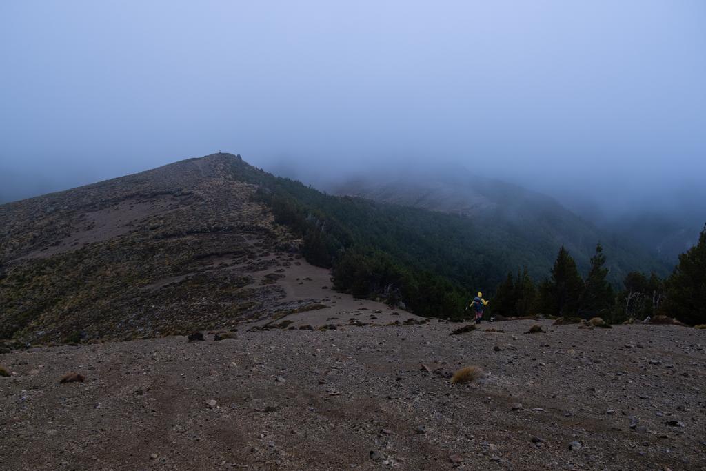 5 May, 2026 at 3:09pm

Jen battling through the gloom, gale winds, and mizzle to the hut. The turn-off is at the top of the next little knoll.
📷 Finn Le Sueur

FUJIFILM X-S20
18-300mm F/3.5-6.3 DiIII-A VC VXD B061X
800
<span>%!s(float64=8) ISO<s/span> <span>f/18</span> <span>%!d(string=1/200)mm</span> <span>%!s(MISSING)s</span>