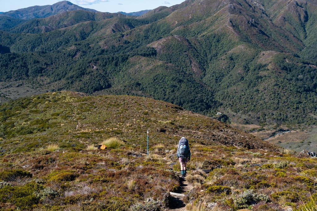 4 April, 2026 at 1:15pm

Not far from the treeline with Waipakihi Hut in the distance.
📷 Finn Le Sueur

FUJIFILM X-S20
18-300mm F/3.5-6.3 DiIII-A VC VXD B061X
640
<span>%!s(float64=8) ISO<s/span> <span>f/39</span> <span>%!d(string=1/750)mm</span> <span>%!s(MISSING)s</span>