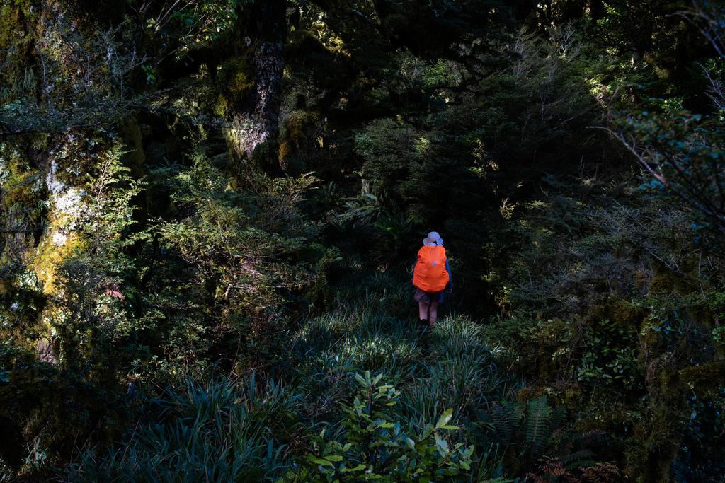 Jen following the overgrown track on the way to Upper Te Hoe Hut.