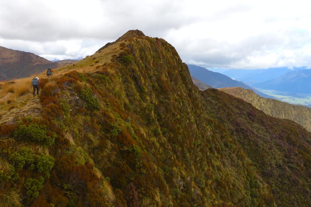 Climbing along the ridge of 1251 for a look. Didn't go to the summit!