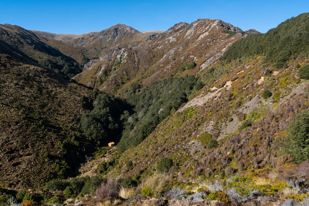 5 May, 2026 at 12:14pm

Back Ridge Hut situated in a delightful valley next to a burbling creek with Kaweka looming high above.
📷 Finn Le Sueur

FUJIFILM X-S20
18-300mm F/3.5-6.3 DiIII-A VC VXD B061X
640
<span>%!s(float64=11) ISO<s/span> <span>f/18</span> <span>%!d(string=1/500)mm</span> <span>%!s(MISSING)s</span>