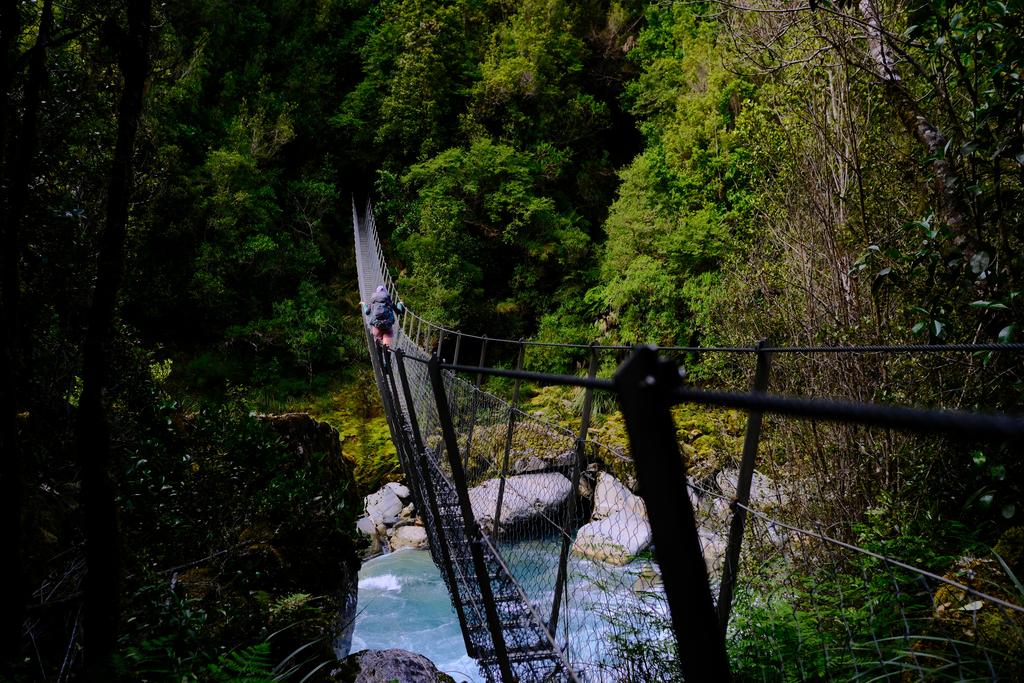 Crossing the bridge to climb up to Newton Creek Hut.