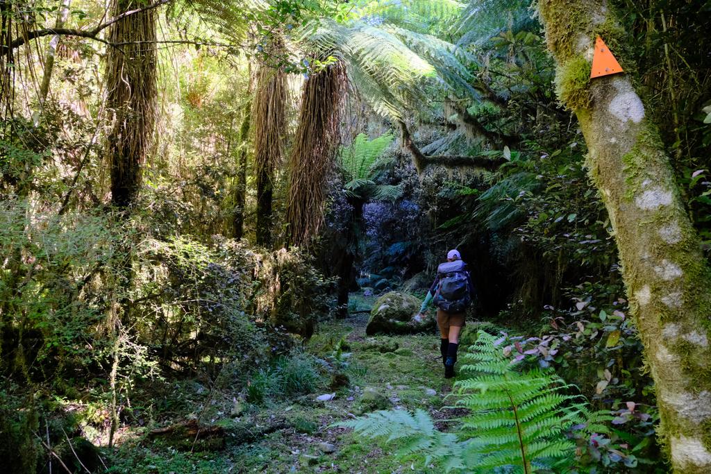 The track up to Julia Hut was excellent.