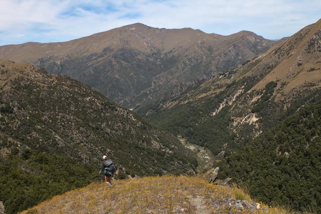 Descending towards Timaru Deer Spur Creek for a 'quick' exit.