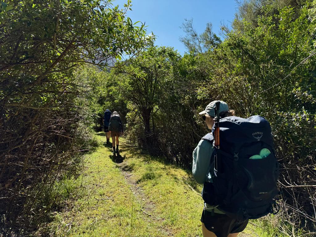 Easy trail next to the hut.