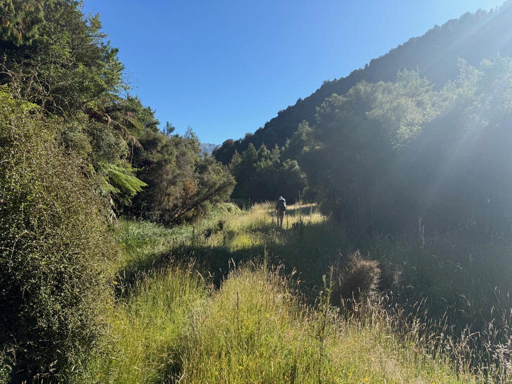 A short section of sparse bush and 4WD-style track.
