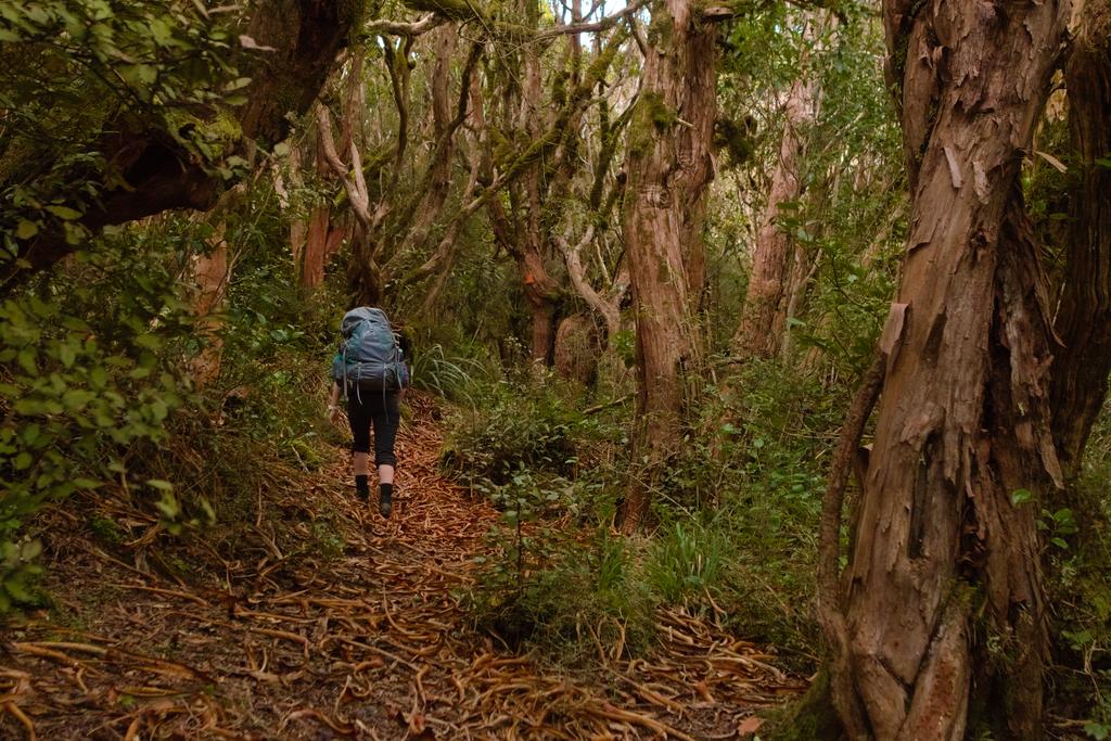 Jen grovelling up Brian O'Lynne Track - pants rolled because it's too warm!