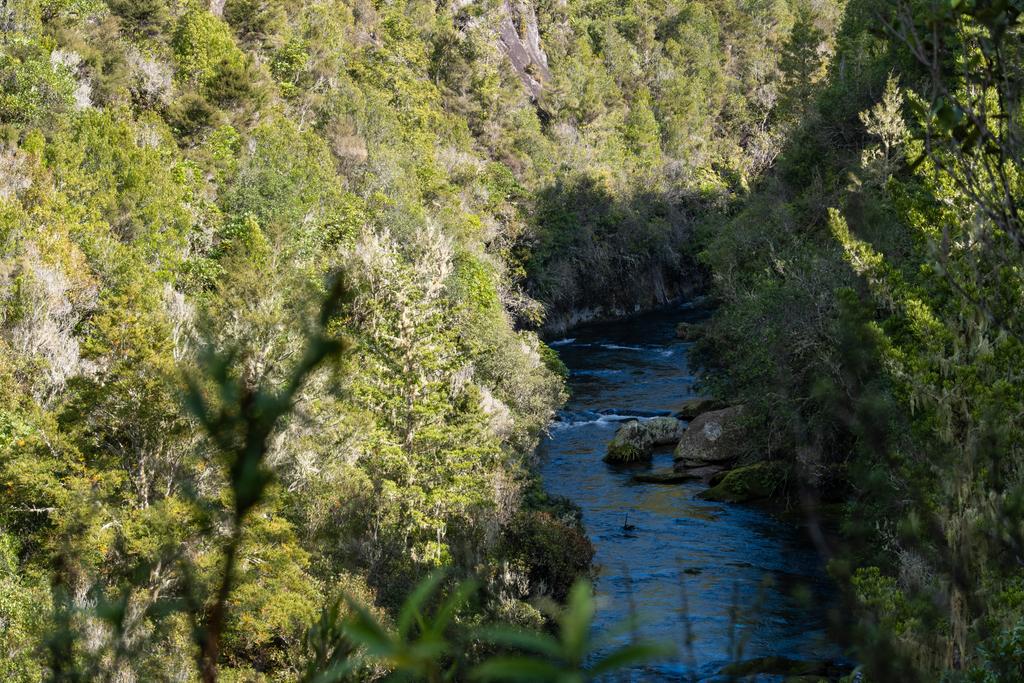 5 May, 2026 at 12:22pm
Looking up the Waihāhā from a benched track well above the slight gorge. It does look packraftable..
📷 Finn Le Sueur
FUJIFILM X-S20
18-300mm F/3.5-6.3 DiIII-A VC VXD B061X
640
<span>%!s(float64=11) ISO<s/span> <span>f/64</span> <span>%!d(string=1/200)mm</span> <span>%!s(MISSING)s</span>