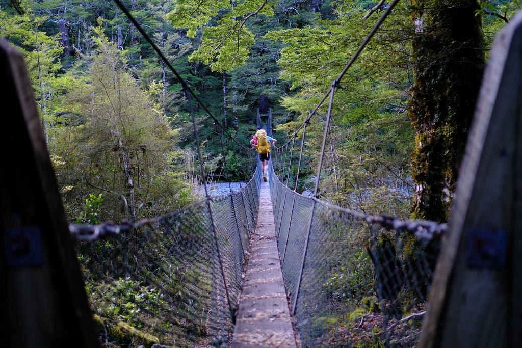 The dogs weren't completely stoked about the bridge. Korra ran across it very quickly when it started swaying.