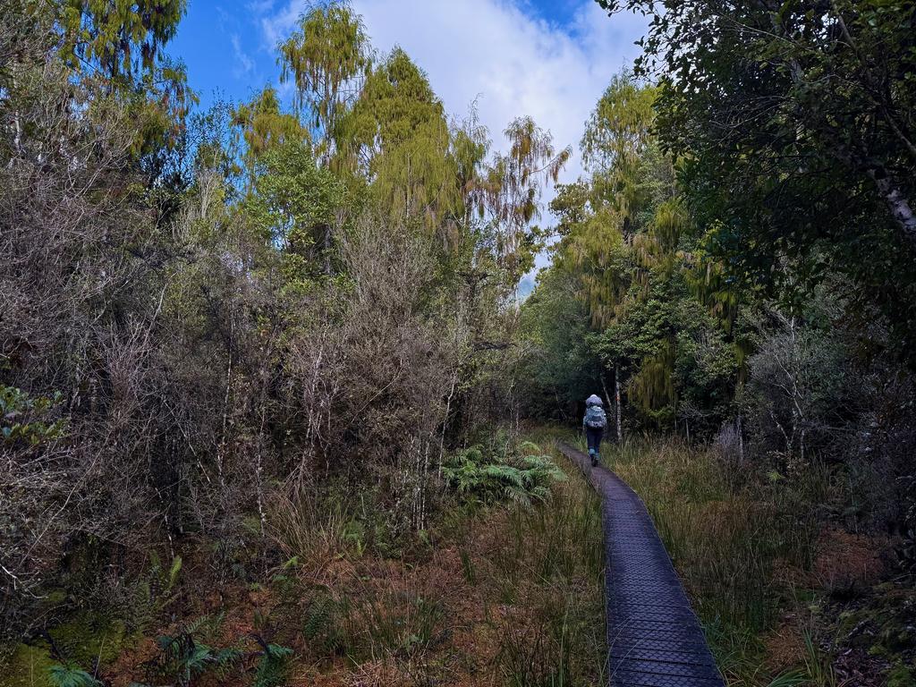 Boardwalk! Too nice.