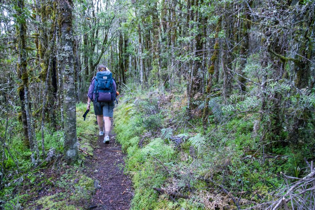 5 May, 2026 at 3:30pm
Lush forest and moss.
📷 Finn Le Sueur
FUJIFILM X-S20
18-300mm F/3.5-6.3 DiIII-A VC VXD B061X
6400
<span>%!s(float64=3.5) ISO<s/span> <span>f/18</span> <span>%!d(string=1/120)mm</span> <span>%!s(MISSING)s</span>