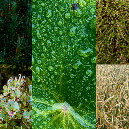 

Closeups in the Rain
📷 Finn Le Sueur

 


<span>%!s(float64=0) ISO<s/span> <span>f/0</span> <span>%!d(string=)mm</span> <span>%!s(MISSING)s</span>