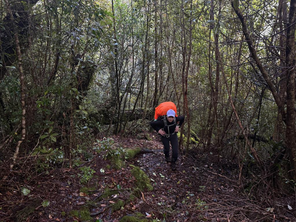 The hard work begins!