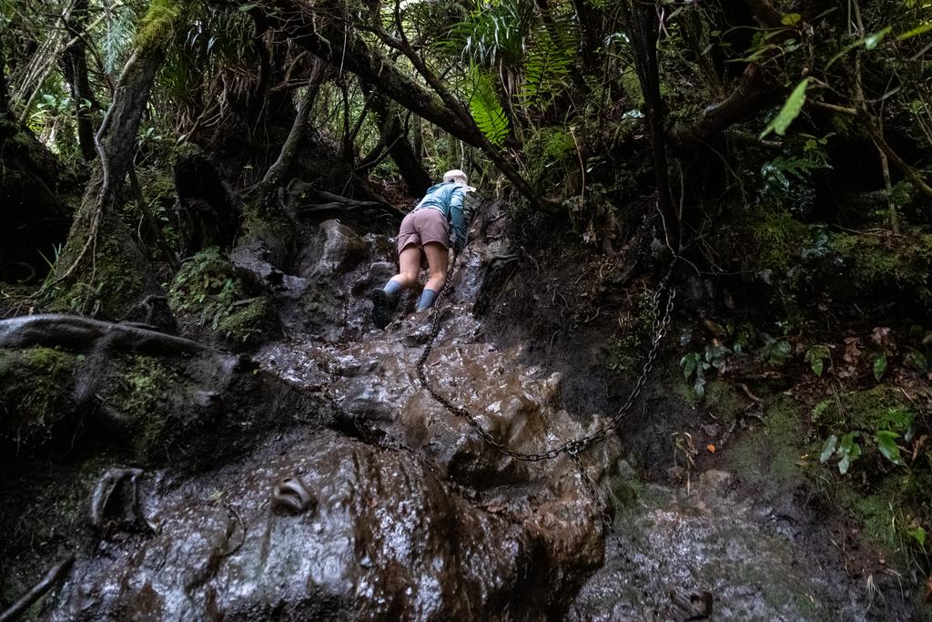 7 July, 2026 at 10:47am

Our first North-Island chain experience! These don't exist much in the South Island (in our experience, anyway).
📷 Finn Le Sueur

FUJIFILM X-S20
18-300mm F/3.5-6.3 DiIII-A VC VXD B061X
6400
<span>%!s(float64=3.5) ISO<s/span> <span>f/18</span> <span>%!d(string=1/160)mm</span> <span>%!s(MISSING)s</span>