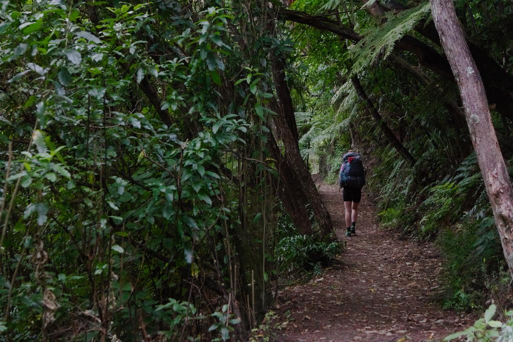 Leaving Anapai Campsite in the morning