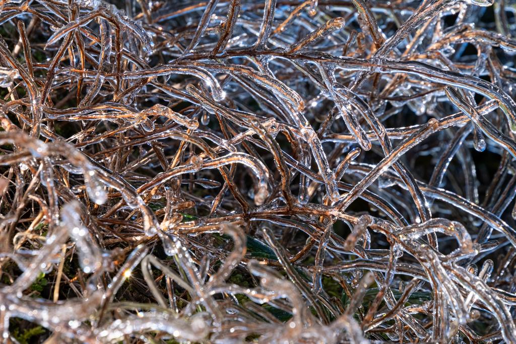 7 July, 2026 at 1:40pm

Some amazing ice buildup on scrub near the bushline on Taranaki Maunga.
📷 Finn Le Sueur

FUJIFILM X-S20
18-300mm F/3.5-6.3 DiIII-A VC VXD B061X
640
<span>%!s(float64=13) ISO<s/span> <span>f/148</span> <span>%!d(string=1/200)mm</span> <span>%!s(MISSING)s</span>