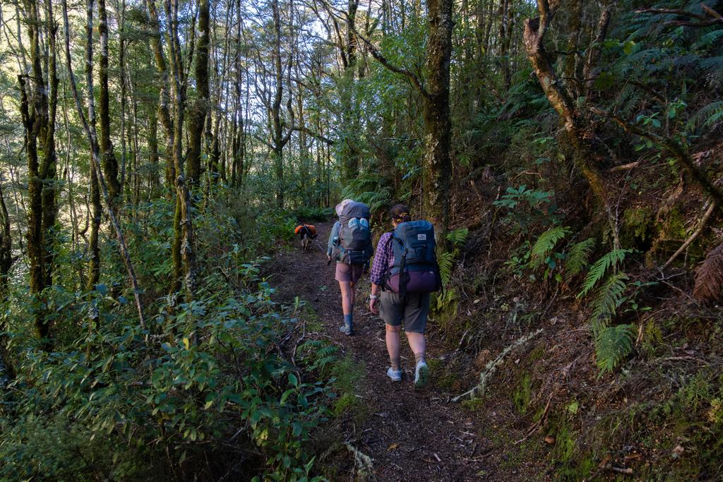 5 May, 2026 at 2:02pm
Korra, Em and Jen trundling along.
📷 Finn Le Sueur
FUJIFILM X-S20
18-300mm F/3.5-6.3 DiIII-A VC VXD B061X
6400
<span>%!s(float64=4.5) ISO<s/span> <span>f/18</span> <span>%!d(string=1/160)mm</span> <span>%!s(MISSING)s</span>