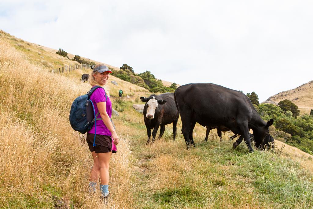 Seonaid making friends with some local cows!