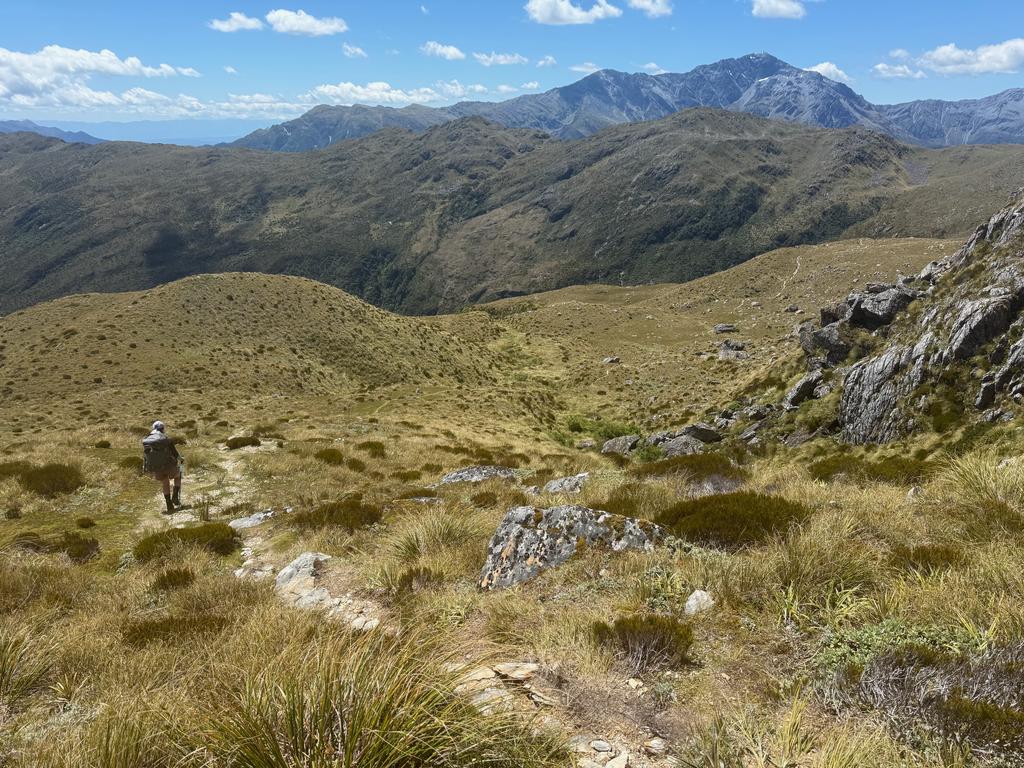 Thankful for a little downhill on the way back to Carroll Hut before heading out to the car.