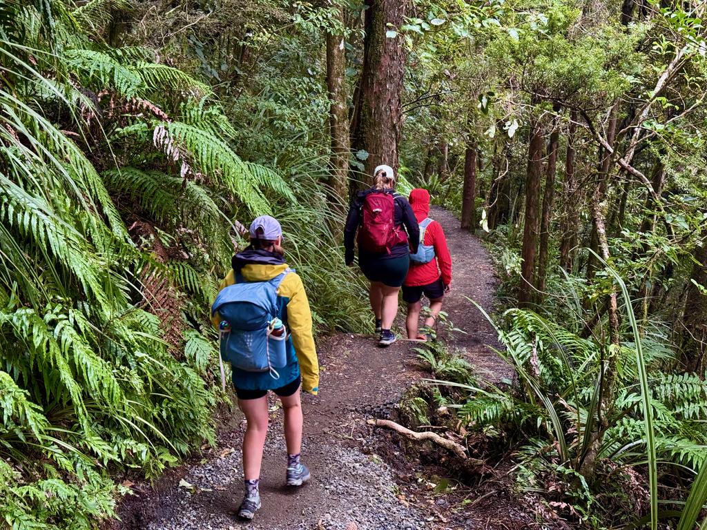 Back in the lush bush. Track still nice!