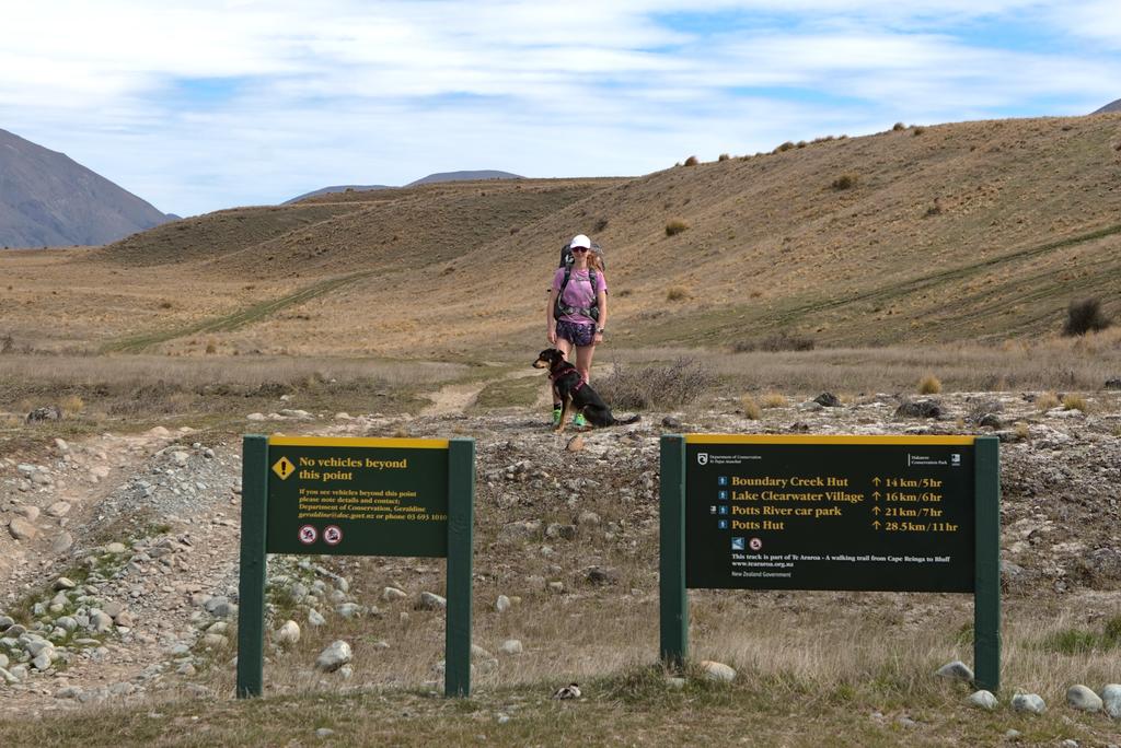 Jen and Korra 🐕 ready to go!