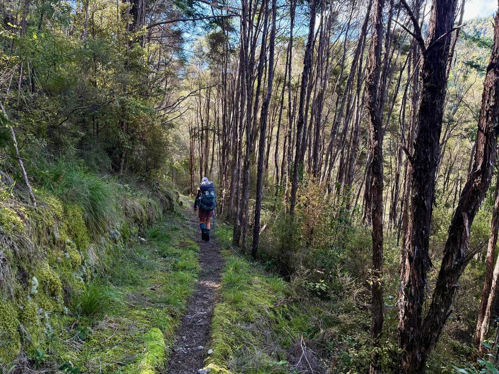 Part of the very nice trail from Hacket to Browning. Delightful.